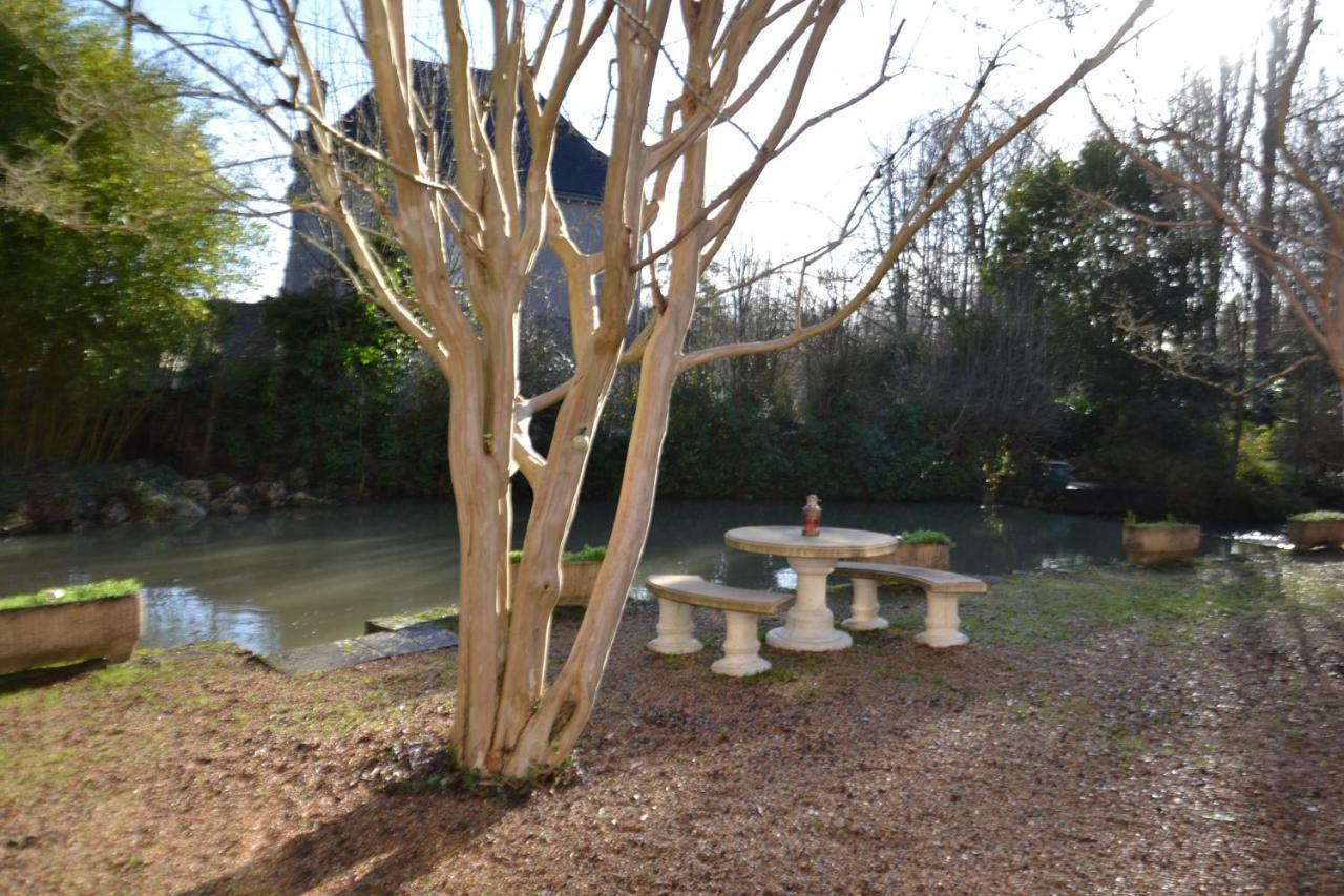 Le Moulin Et L'Olivier Three Bedroom Suite Chambon-sur-Cisse Exterior foto